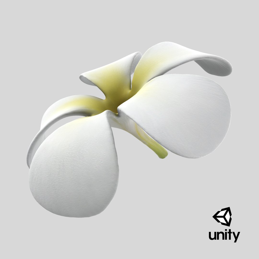 Plumeria Alba Flower 3D model https://p.turbosquid.com/ts-thumb/oN/WVm9sd/ml/stemcell_unity_render/png/1743777233/1920x1080/fit_q87/8eda01f60de3ef53873717f37b4a8597cb6aae02/stemcell_unity_render.jpg