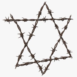 3D Star of David made from Barbed Wire Rusty model
