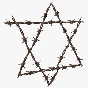 Star of David made from Barbed Wire Rusty
