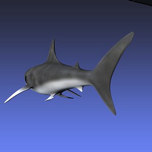 3d great white shark