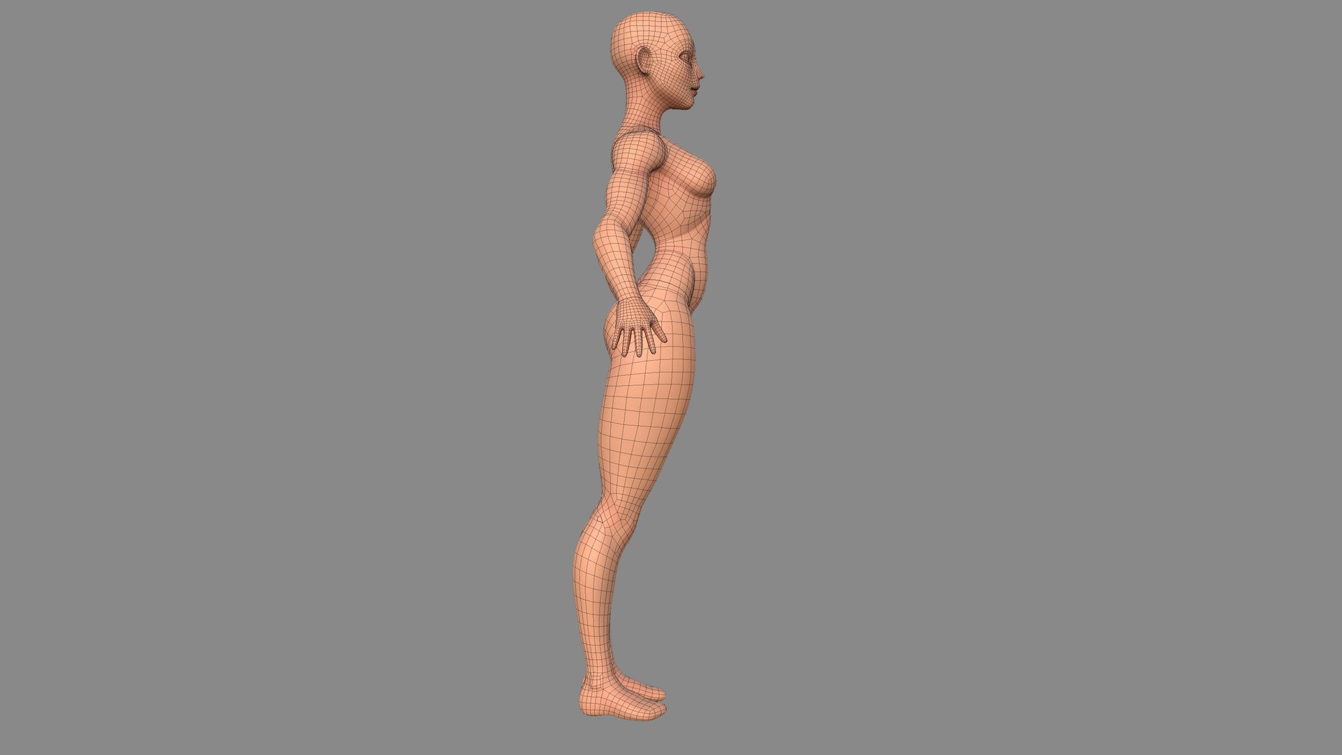 3D model character female body base https://p.turbosquid.com/ts-thumb/oN/hrSoSb/5wqAM7xC/femalebasestylized_31/jpg/1578825907/1920x1080/fit_q87/31aa80e87922513ebff389af3e8d4f1c89b0e378/femalebasestylized_31.jpg