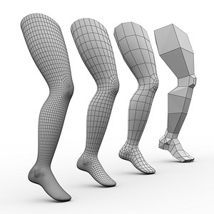 3D model leg