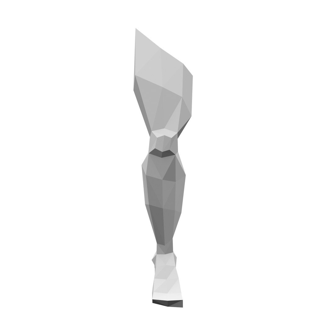 3D Model Leg - TurboSquid 1582357