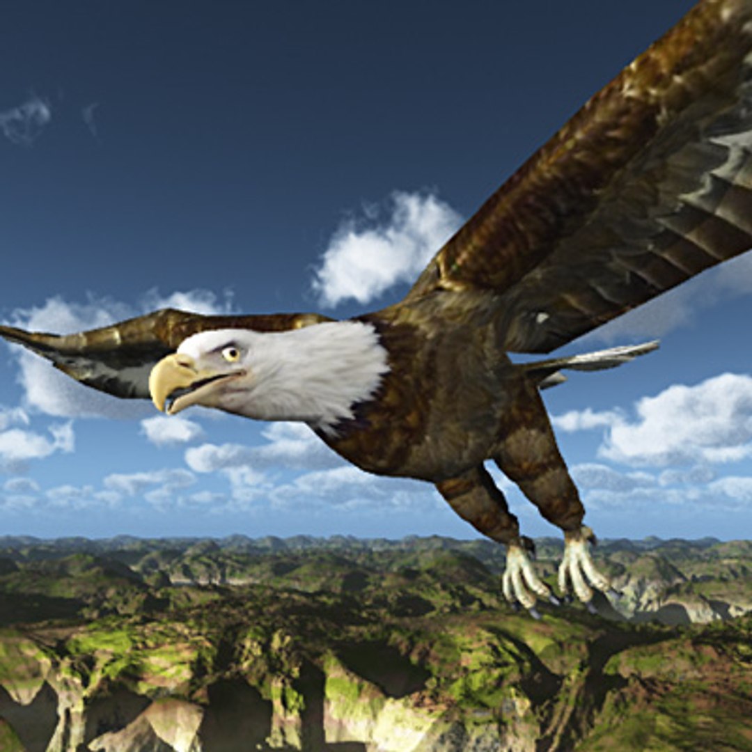 eagle bird 3d model https://p.turbosquid.com/ts-thumb/oN/oupzwK/3TEGyff8/orel1/jpg/1258647170/1920x1080/fit_q87/8b44400b90a1976b62f518bc72a692c22201b546/orel1.jpg
