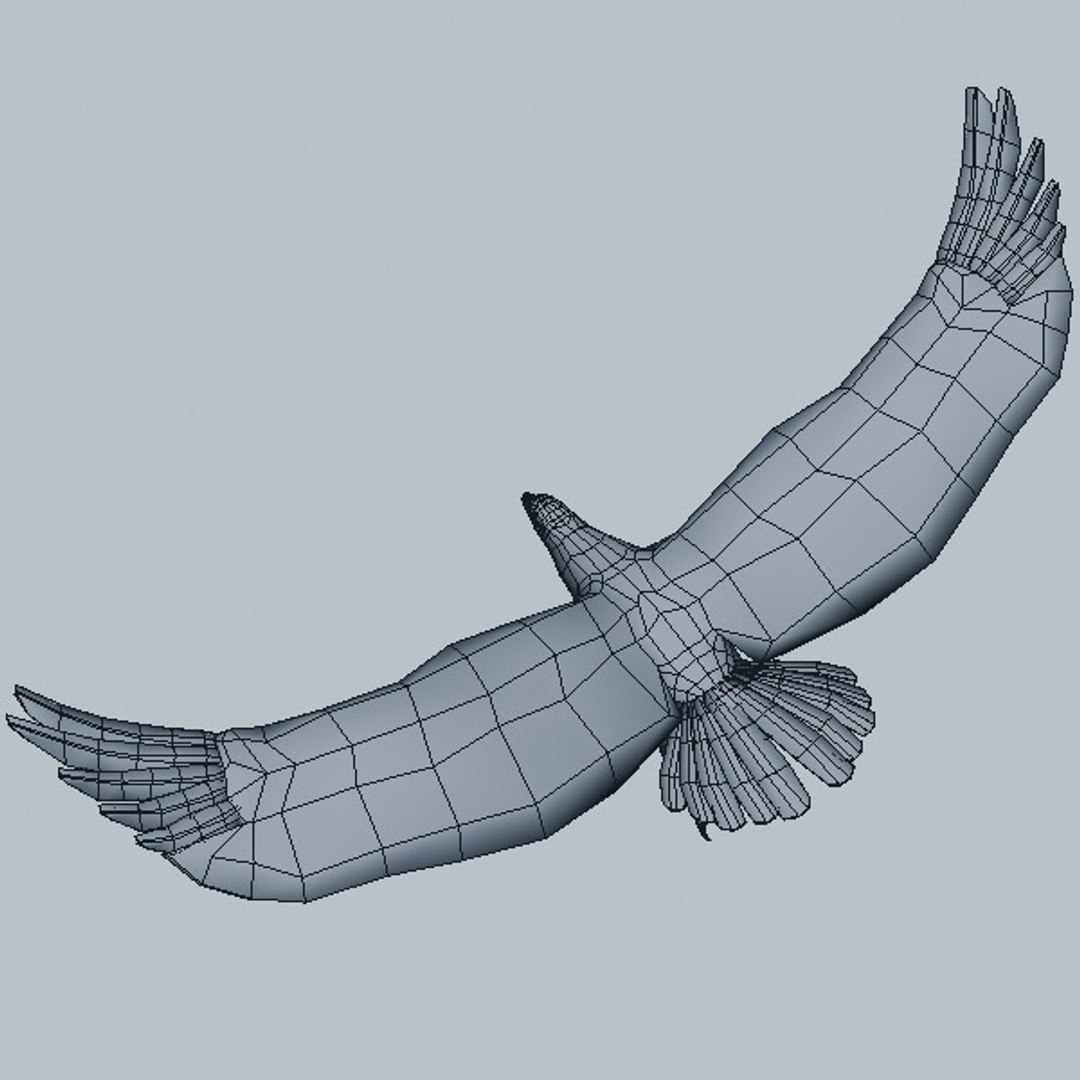 eagle bird 3d model https://p.turbosquid.com/ts-thumb/oN/oupzwK/3dlwsIHA/e8/jpg/1297167650/1920x1080/fit_q87/a3a0e82227f490d0c17bbdfc37baa6333d06d530/e8.jpg