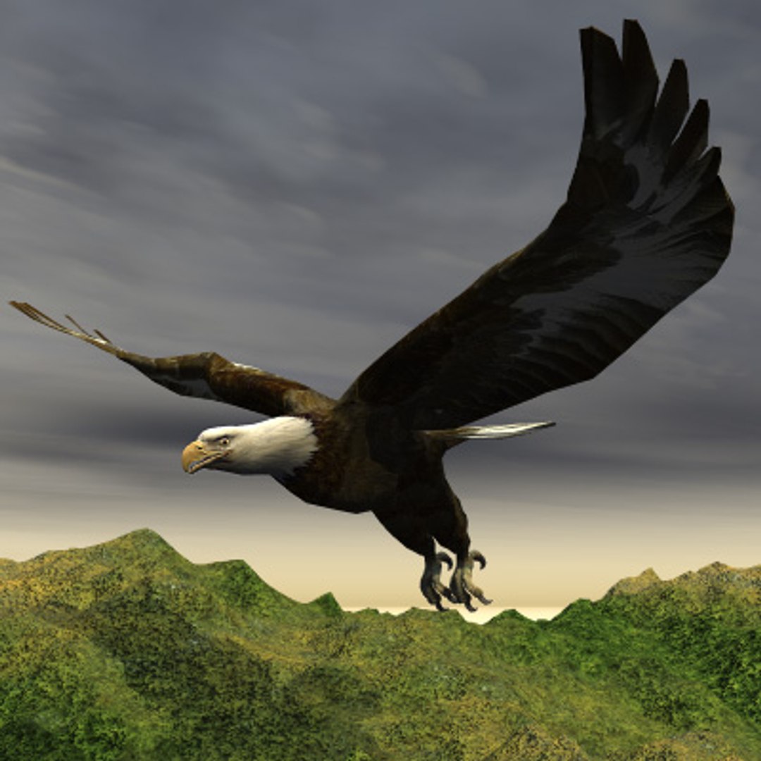 eagle bird 3d model https://p.turbosquid.com/ts-thumb/oN/oupzwK/VNqM32ts/orel/jpg/1186777470/1920x1080/fit_q87/9b4df4ae5a572db5740efb25ce1c042d3381f197/orel.jpg