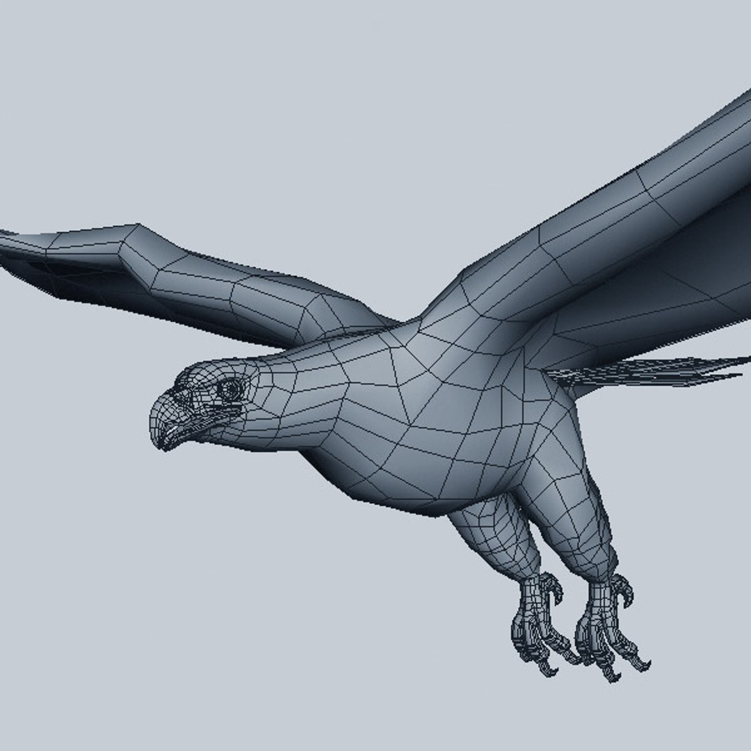eagle bird 3d model https://p.turbosquid.com/ts-thumb/oN/oupzwK/hkedyhSx/e9/jpg/1297167654/1920x1080/fit_q87/1f096f97e5e5b0d65997d94ab47764a6003a0dee/e9.jpg