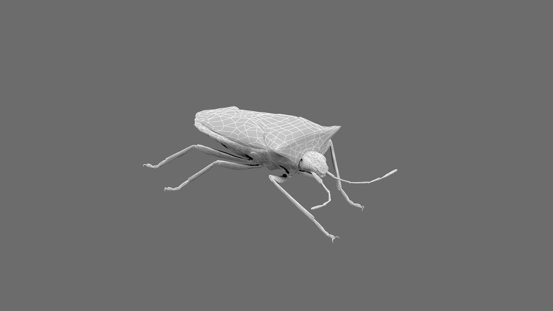 Stink Bug Coreus Marginatus 3D https://p.turbosquid.com/ts-thumb/oN/zvGAns/eY/000/jpg/1755419173/1920x1080/fit_q87/2f8532ef7fa7ad78e20b6a78933aa6a4165c493e/000.jpg