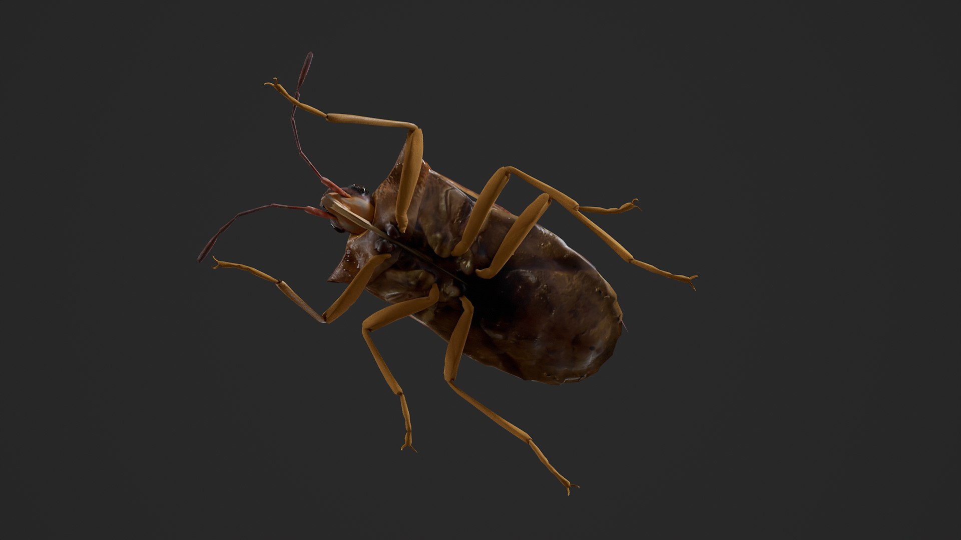 Stink Bug Coreus Marginatus 3D https://p.turbosquid.com/ts-thumb/oN/zvGAns/ua/untitled_002/png/1755419175/1920x1080/fit_q87/05bcd0e82a9456e138b0041c7045014a79e5cbb4/untitled_002.jpg