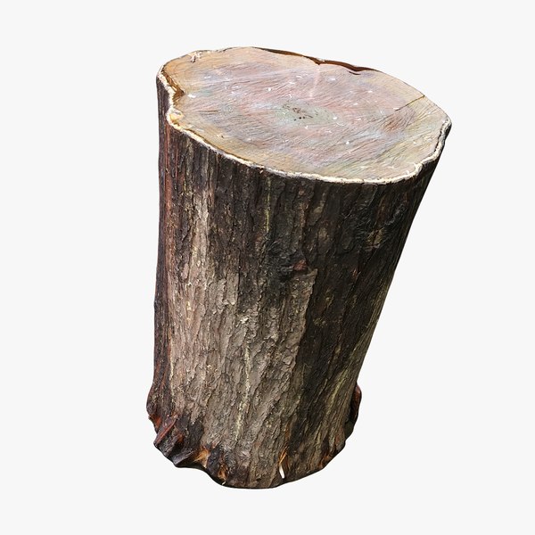 3D wet tree trunk seat
