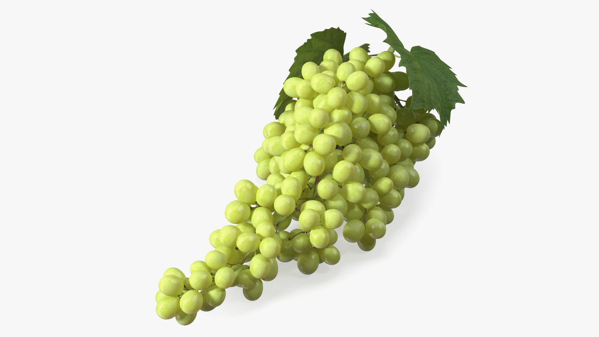 Sultana Green Grape Cluster Lying 3D model preview
