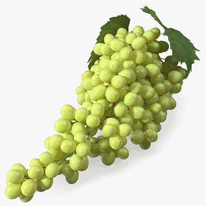 Sultana Green Grape Cluster Lying 3D model