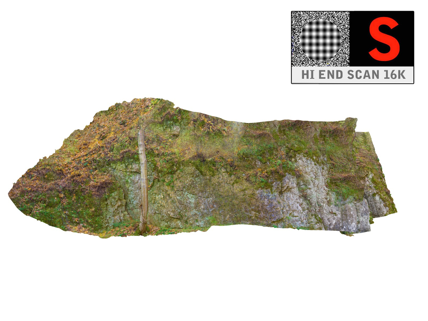 Climbing Rock 16k 3d Model