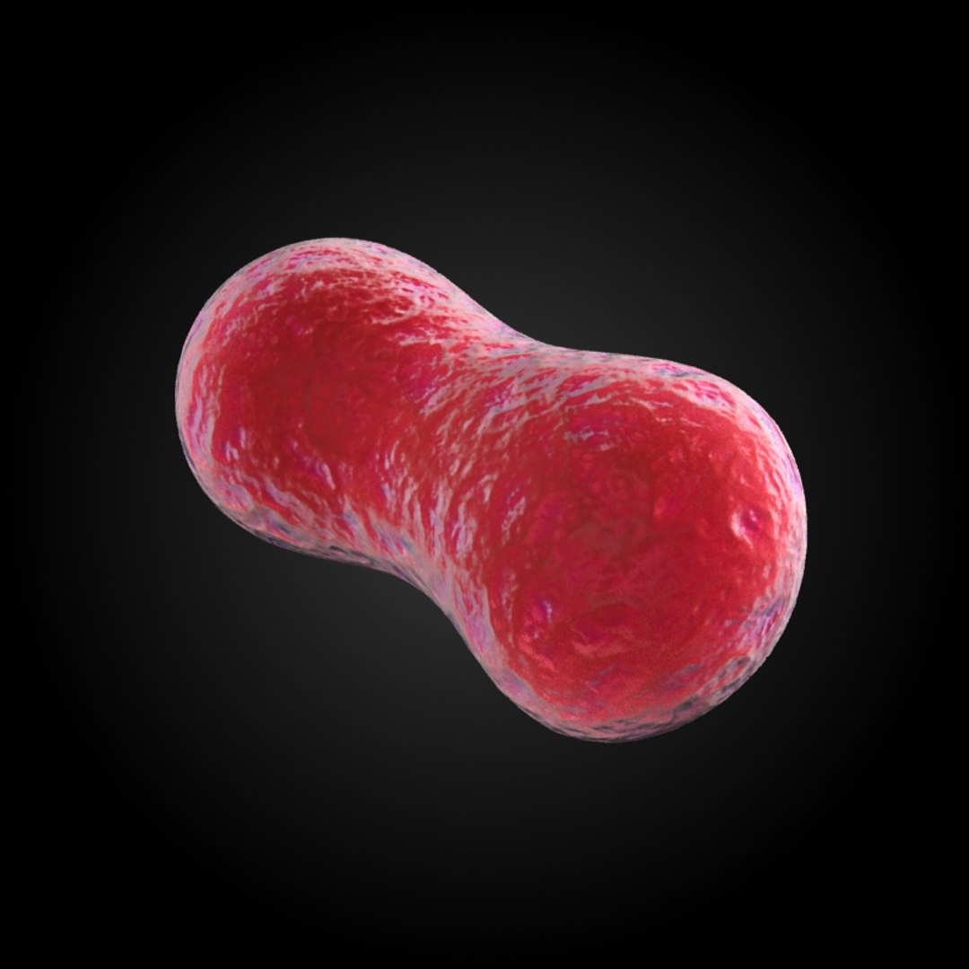 25 Microbes Micro Sets 3d Model
