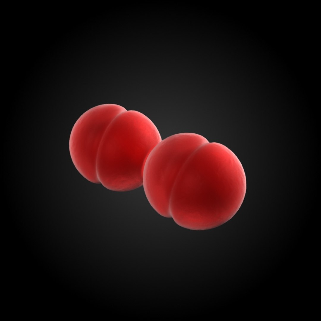 25 microbes micro sets 3d model