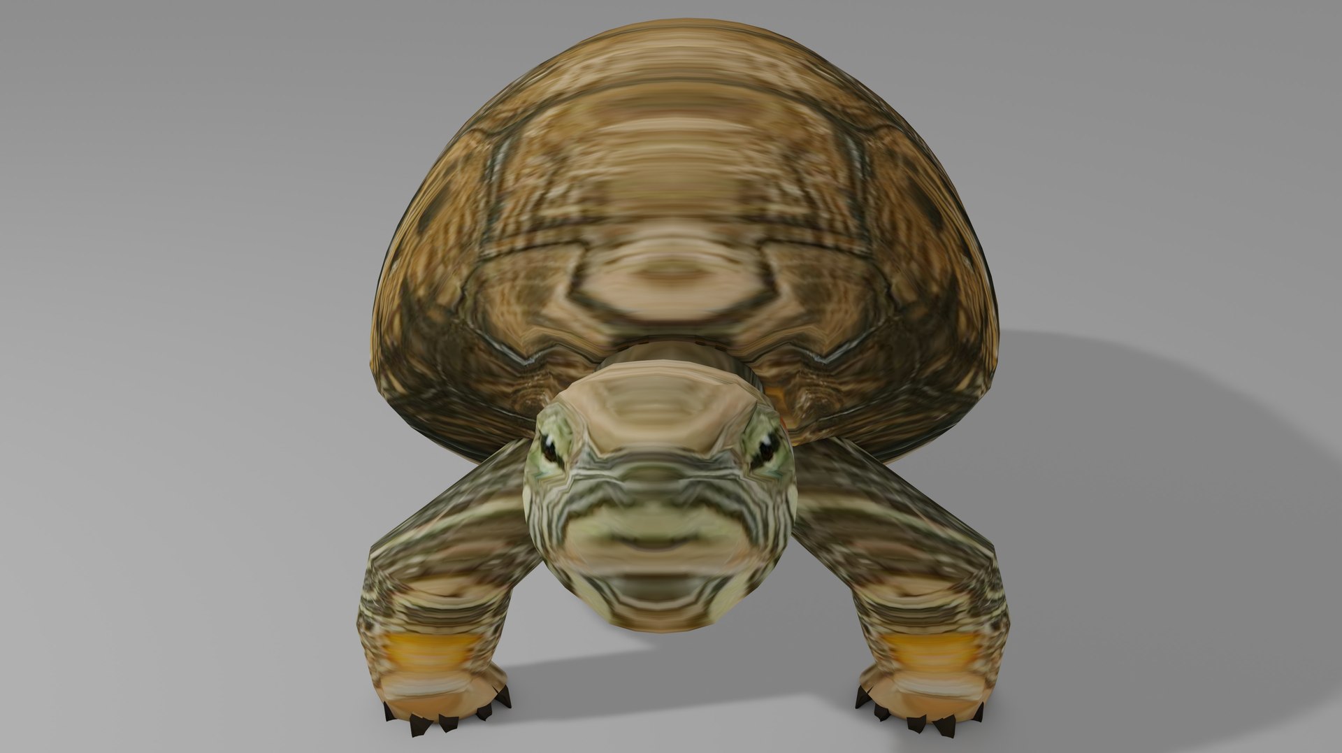 Turtle OBJ 3D Model - TurboSquid 2230817