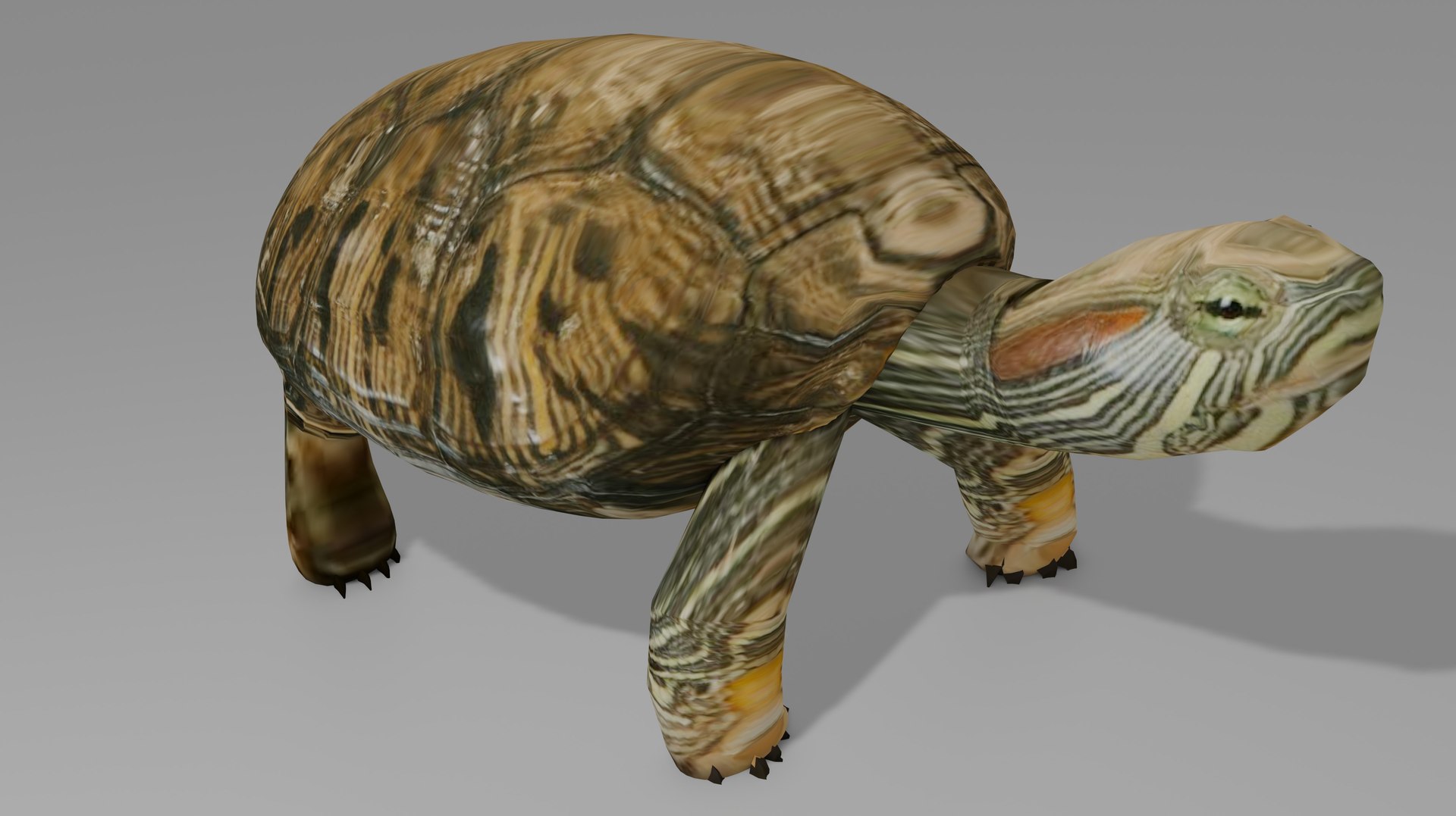 Turtle OBJ 3D Model - TurboSquid 2230817