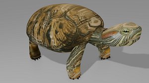 Turtle OBJ 3D model