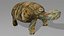 Turtle OBJ 3D model