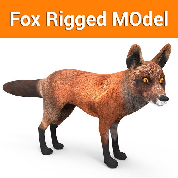 Fox model. Модель Fox. Лиса 3д модель. Модель лисы блендер. Фигурки лисы в Blender.