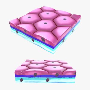 simple squamous epithelium