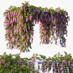 wisterial plant 12