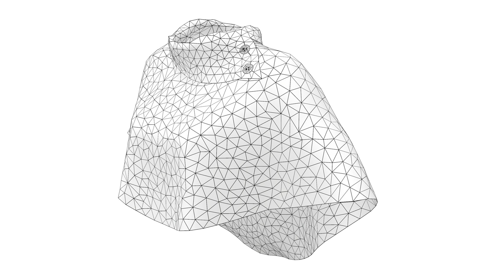 Ladies Poncho V1 3D - TurboSquid 1903515