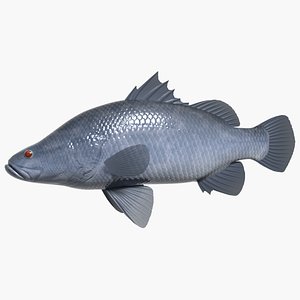 3ds max japanese akame