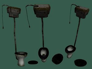 Dirty Toilet