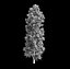 Forest - Poplar 23
