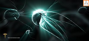 max bacteria microscopic