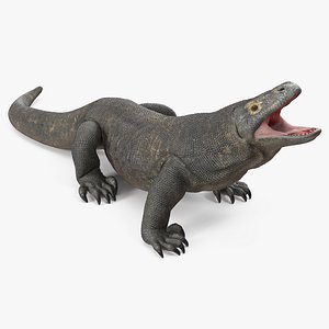 Komodo Dragon Standing Pose 3D Model