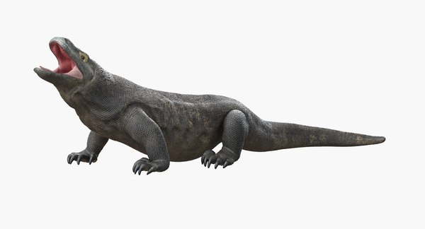 コモドドラゴンさん専用 コモドドラゴンさん専用 博物Museum 1/4 コモドドラゴン