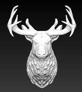 Deer head trophy