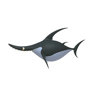 Shark Cartoon 3D model
