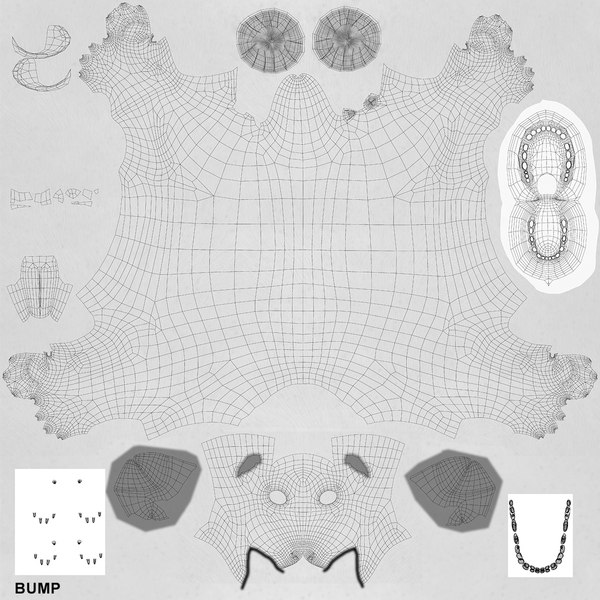 Jack russell terrier model - TurboSquid 1333226