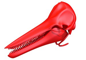 3D Print Ready Dolphin Skull 3D Printing