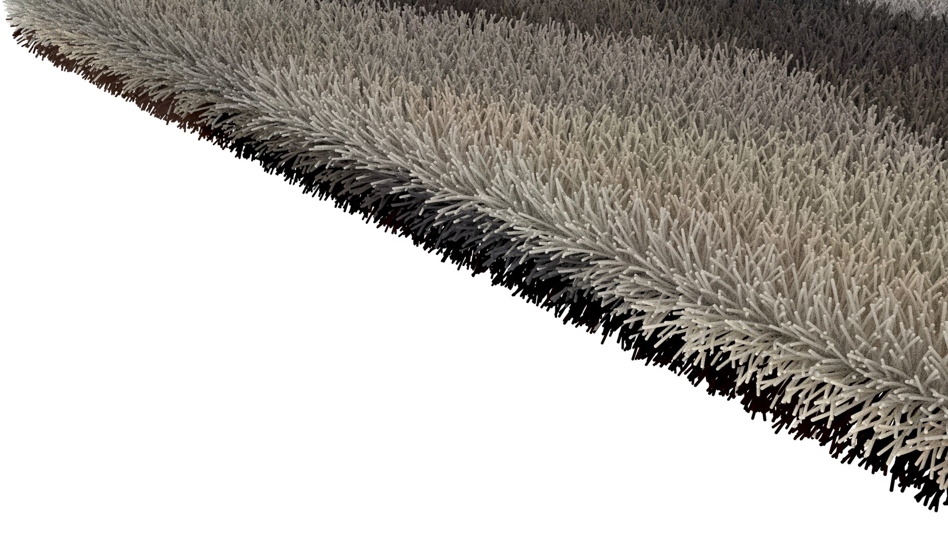 3D carpet rug https://p.turbosquid.com/ts-thumb/oQ/jMvmEi/od/carpet27/jpg/1607671237/1920x1080/fit_q87/1fca995f9eca4e5d0481f091e846bf29346a0e3e/carpet27.jpg
