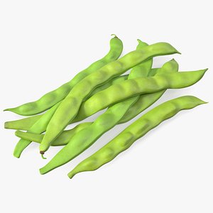 Flat Beans 3D model