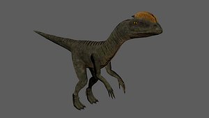 Velociraptor Low-poly 3D model