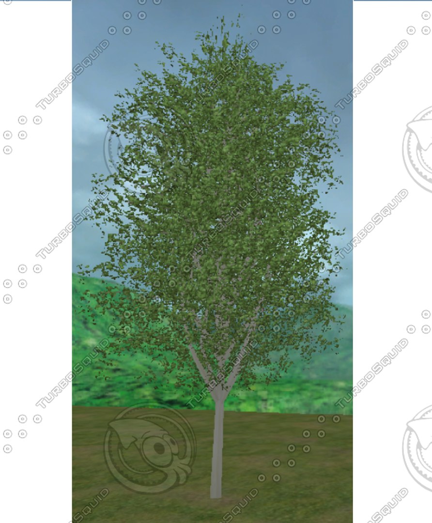 trees pack 3d model https://p.turbosquid.com/ts-thumb/oR/Xiu5Pp/Gu1tHPrW/tree5.bmp6032a5e3cd5447c59cdaff535b854a5bdefaulthq/jpg/1136501683/1920x1080/fit_q87/89f5a6d6bb3aa6248e3708658d2aba32d726a9f7/tree5.bmp6032a5e3cd5447c59cdaff535b854a5bdefaulthq.jpg