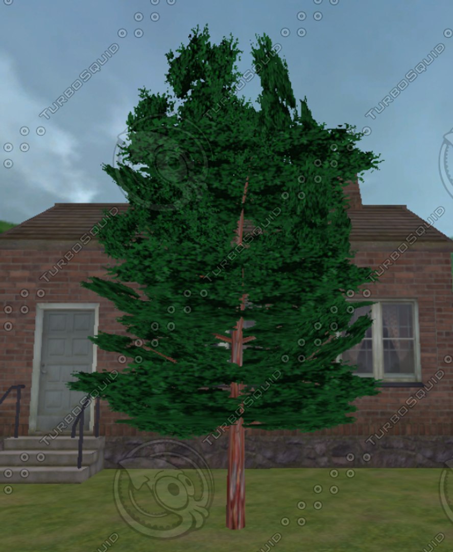 trees pack 3d model https://p.turbosquid.com/ts-thumb/oR/Xiu5Pp/WX5Qw5OF/tree1.bmp68b4127a88754cca861c6c19f12478b3defaulthq/jpg/1136501661/1920x1080/fit_q87/e60cea8cc18ae82583040bdfd5eeca4ffef79504/tree1.bmp68b4127a88754cca861c6c19f12478b3defaulthq.jpg