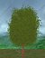 Tree Pack