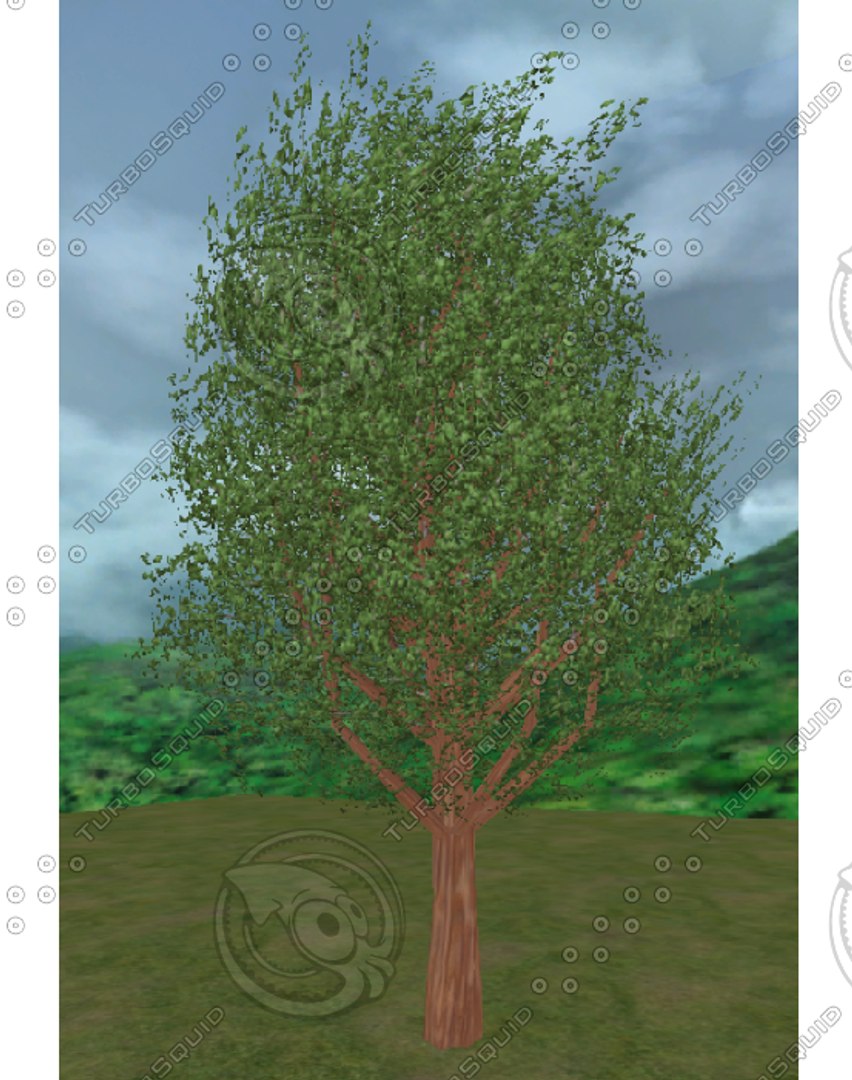 trees pack 3d model https://p.turbosquid.com/ts-thumb/oR/Xiu5Pp/nsrrBrPQ/tree7.bmpb58bc9e562724b389603c18525f807d2defaulthq/jpg/1136501700/1920x1080/fit_q87/3c2db985186678bfdf75e80ecd5c1b2fa9392459/tree7.bmpb58bc9e562724b389603c18525f807d2defaulthq.jpg