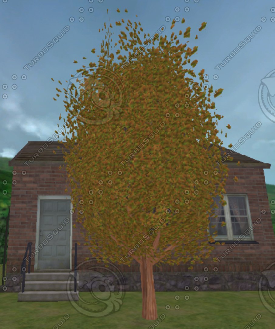 trees pack 3d model https://p.turbosquid.com/ts-thumb/oR/Xiu5Pp/vVZtKsN7/tree3.bmp3c76d5a35c2b4e4ea4aed02b301f23e0defaulthq/jpg/1136501669/1920x1080/fit_q87/0344b91480ea3726d28a97bc654d6000ed84beaa/tree3.bmp3c76d5a35c2b4e4ea4aed02b301f23e0defaulthq.jpg