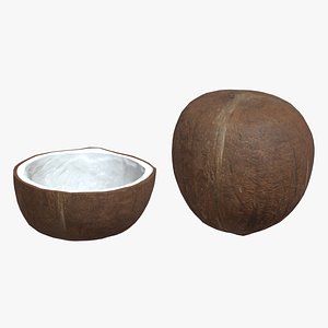 Coconut 01 Low Poly
