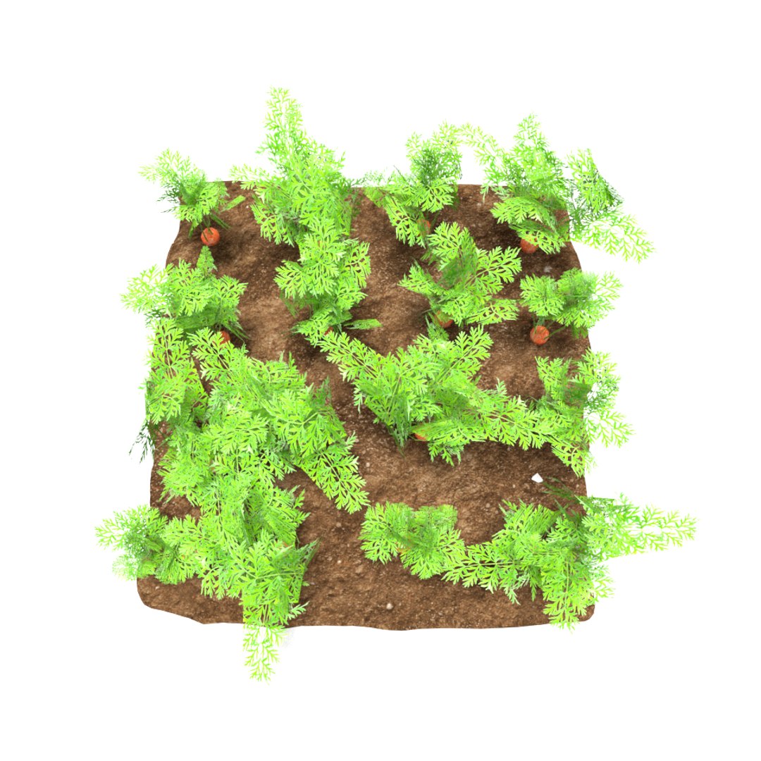 carrots 3 growth stages 3D model https://p.turbosquid.com/ts-thumb/oR/lIg8Rx/CldDsMRO/2/png/1491580915/1920x1080/fit_q87/8eaa8c42850df3a8400f4b8bd28a1e36cc131b95/2.jpg