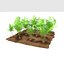 carrots 3 growth stages 3D model