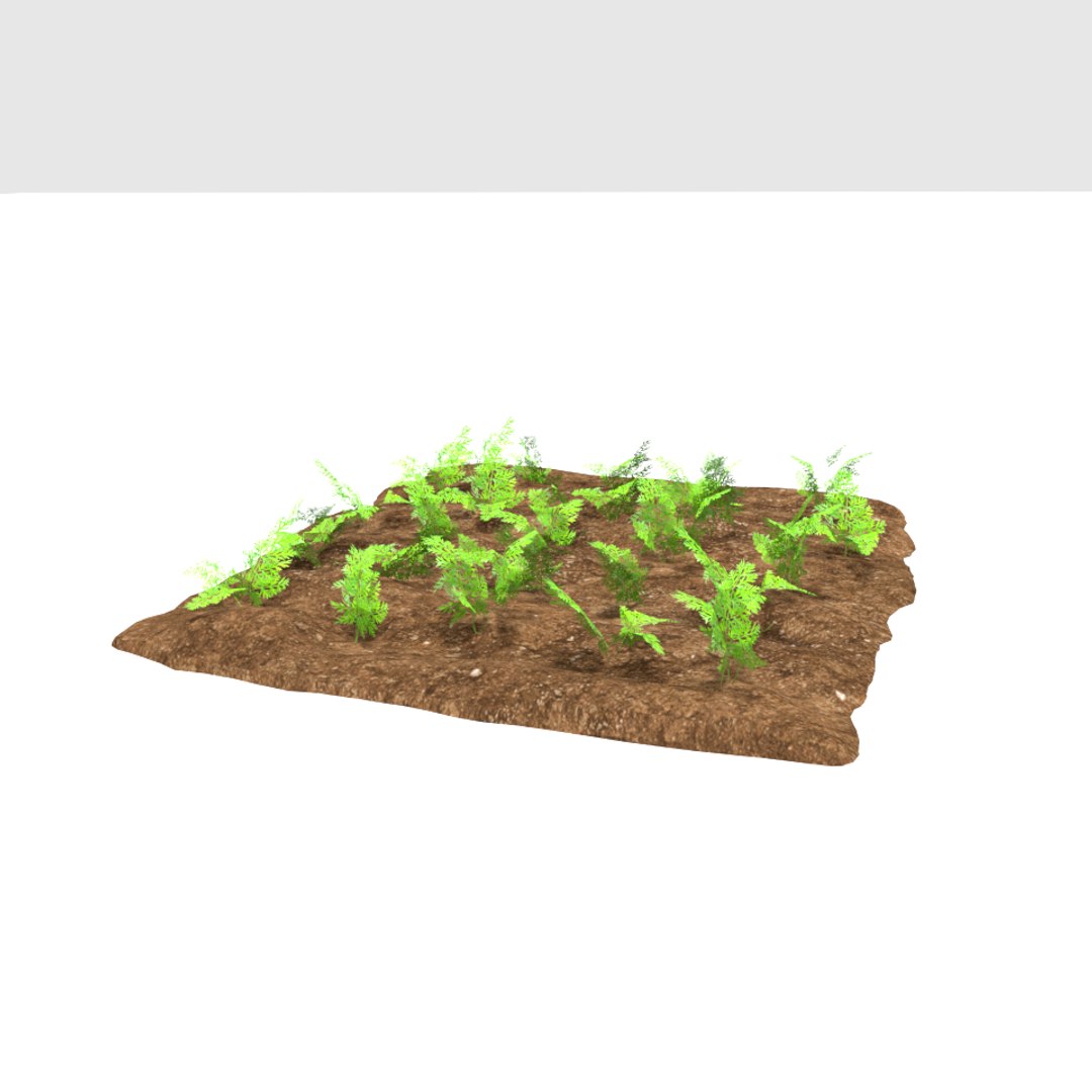 carrots 3 growth stages 3D model https://p.turbosquid.com/ts-thumb/oR/lIg8Rx/N630FNpi/11/png/1491580915/1920x1080/fit_q87/b526b12ff6bb43305e2d9e5e8869c7bd81cf25f5/11.jpg