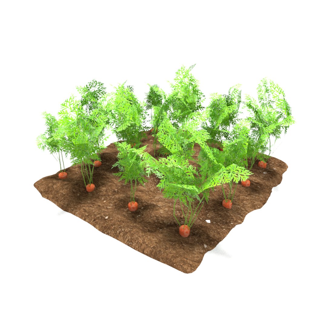 carrots 3 growth stages 3D model https://p.turbosquid.com/ts-thumb/oR/lIg8Rx/X5ct0rTG/3/png/1491580915/1920x1080/fit_q87/e237b329adef4c7c5d4f732a67f67facc0ff1a90/3.jpg